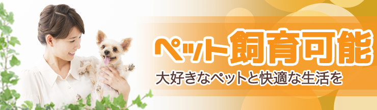 �y�b�g�\����